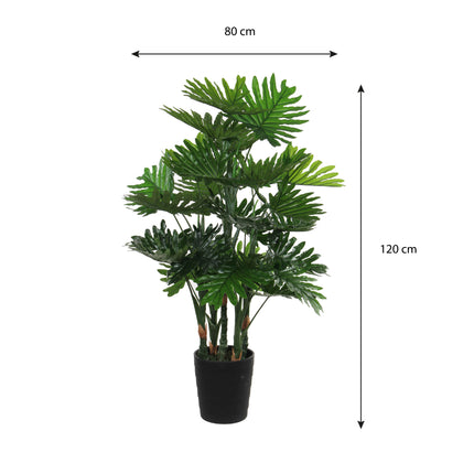 Philodendron In Plastic Pot Green - H120Xd80Cm