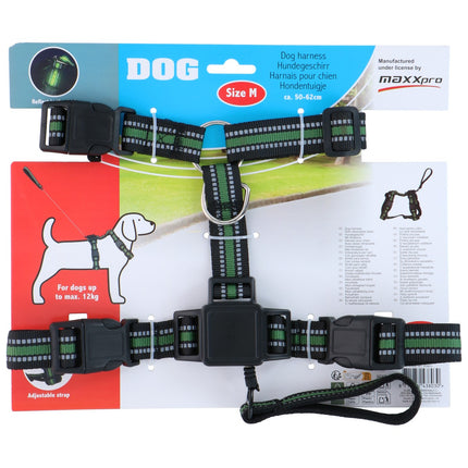 Dog Harness With Retractable Leash Size M