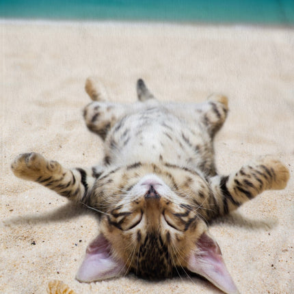 Strandlaken voor Kinderen - 75x150 cm - Kat en Schelpen Print - Zandstrand Thema - Poly Velours