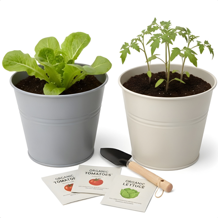 Cheqo® Kweekset Emmer Tomaten Sla - Kweekset Tomaten En Sla - Kweekset Tomaten Sla - Kweekset Emmer - Emmer Kweekset - Tomaten Kweekset - Sla Kweekset - Kweekset Tomaten - Kweekset Sla - Tomaten Zaden Kweekset