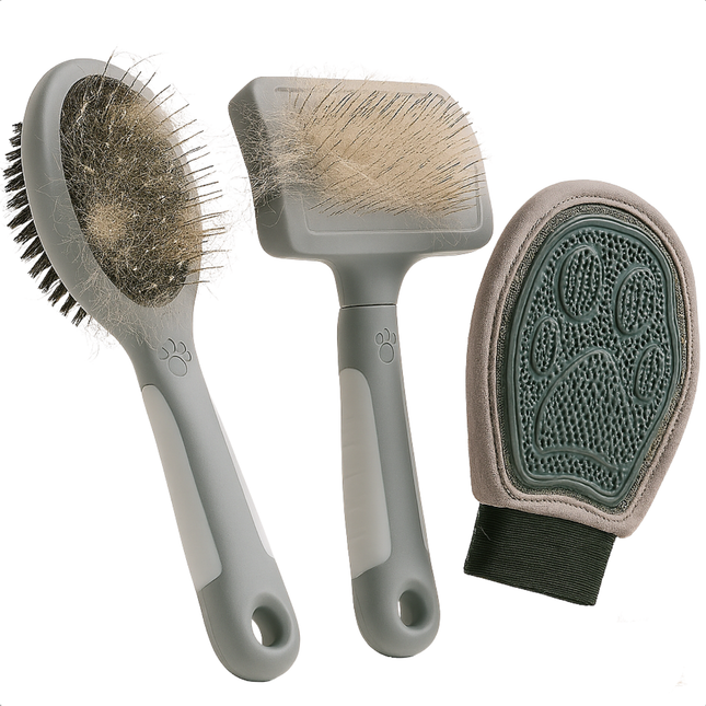 Cheqo® Huisdierborstelset - Huisdierhaar Verwijderaar - Hondenborstel - Kattenborstel - Slicker Borstel - Massagehandschoen - Vachtverzorging - Hondenhaar Verwijderen - Kattenhaar Verwijderen - Ergonomisch Ontwerp - Pluizenverwijderaar