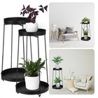 Cheqo® Plantenstandaard Set - Stijlvolle Zwarte Standaards - 46 + 58 Cm - Draagvermogen 8 kg - Bijzettafel Set - Voor Woonkamer - Keuken - Badkamer - Slaapkamer - Hoogwaardig Staal - Krasbestendig - Plantenrek - Bloemstandaard - Plantentafel - Set van 2 Plantenstandaarden