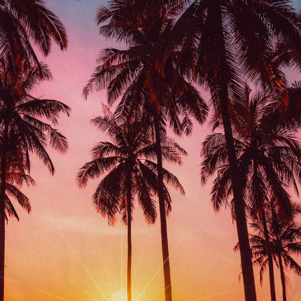 Strandlaken 100x180 cm - Tropische Palmboom en Zonsondergang Print - Poly Velours - Good Morning