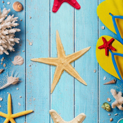 Strandlaken 100x180 cm - Zeesterren en Schelpen Print - Blauw - Poly Velours - Good Morning