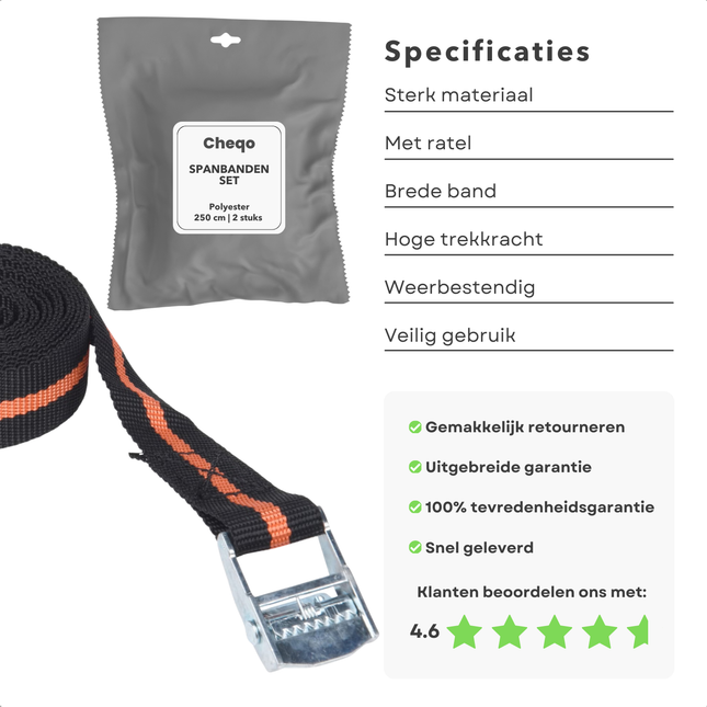 Cheqo® Spanbanden Set - Sjorbanden - Bindriemen - 2,5 Meter - Voor Auto en Transport - Metalen Gesp