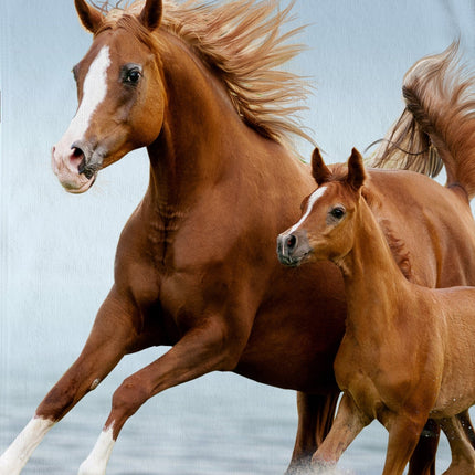 Strandlaken voor Kinderen - 75x150 cm - Paardenprint - Bruin/Blauw - Poly Velours - Good Morning