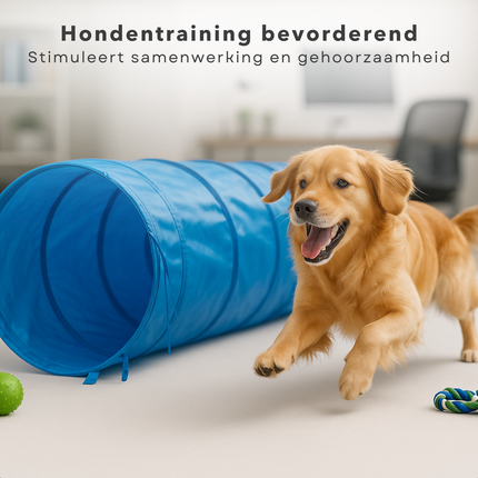 Cheqo® Hondentunnel 3 Meter – Agility voor de Hond – Behendigheid Hond – Opvouwbare Speeltunnel – Lichtgewicht Polyester – Inclusief Grondpinnen & Draagtas – 48 cm Doorsnee – Honden Agility Set – Hondensport Accessoires