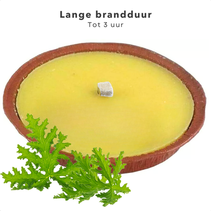 Cheqo® Citronella Kaas - Citronellakaars - Terracotta Kaars - Anti-Mug Kaars voor Buiten - Sfeerkaars