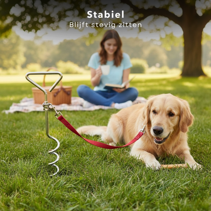 Cheqo® Grondpen Hond - Grondpen Hondenlijn - Aanlegspiraal Hond - Vastlegspiraal Hond - Grondspiraal Hond - Hondenpin - Grondpin Hond - Aanlegpen Hond - Grondanker Hond - Hondenanker - Campingpen Hond