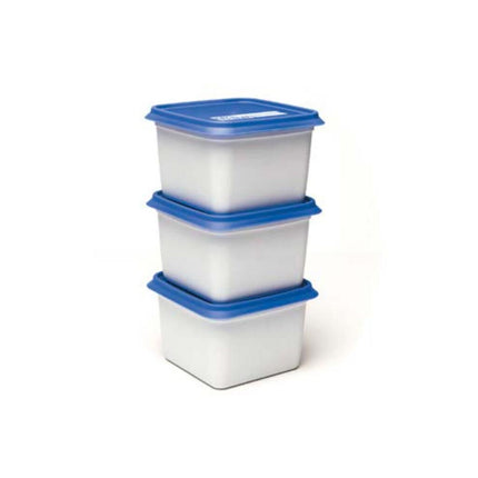 Day To Day Alaska Diepvriesbak Set 3X750 Ml Wit/Blauw