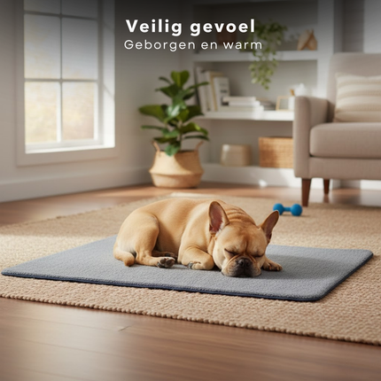 Cheqo® Hondendeken - Hondenkleed - Hondenmat - Benchmat Hond - Vetbed Hond - Benchkleed Hond - Hondenkleed Bench - Hondendeken Bank - Bankbeschermer Hond - Hondendeken Auto - Hondenkleed Auto - Kattenkleed