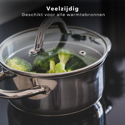 Cheqo® RVS Kookpan - 20 cm - 3.6 liter - Voor Alle Warmtebronnen - Met Glazen Deksel - Maataanduiding - Ergonomische Handvaten - Vaatwasserbestendig - Ook voor Inductie - Lange Levensduur Kookpannen