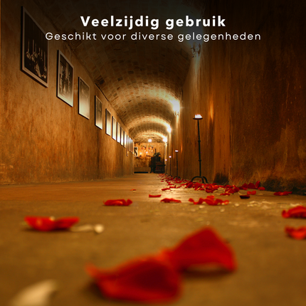 Cheqo® Hartvormige Rozenblaadjes - Roze Rozenblaadjes - Romantisch Geschenk Valentijnsdag - Valentijn Decoratie - Kunststof