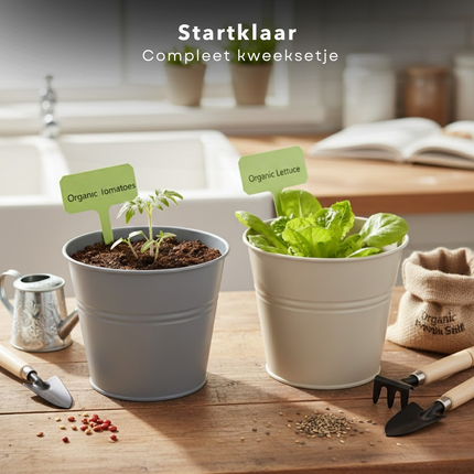 Cheqo® Kweekset Emmer Tomaten Sla - Kweekset Tomaten En Sla - Kweekset Tomaten Sla - Kweekset Emmer - Emmer Kweekset - Tomaten Kweekset - Sla Kweekset - Kweekset Tomaten - Kweekset Sla - Tomaten Zaden Kweekset