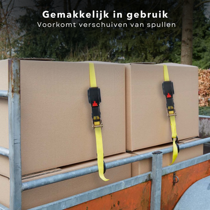 Cheqo® Nylon Spanband - 4 Meter - Sjorbanden - Bindriemen - Met Ratel - Elastische Banden - Multifunctioneel - Hoge Kwaliteit - Extra Sterk - Metalen Haak - Stevige Gesp - Max. 250KG - Verhuishulp - Nylon - Automatisch Oprolsysteem Spanbanden