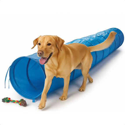 Cheqo® Hondentunnel 3 Meter – Agility voor de Hond – Behendigheid Hond – Opvouwbare Speeltunnel – Lichtgewicht Polyester – Inclusief Grondpinnen & Draagtas – 48 cm Doorsnee – Honden Agility Set – Hondensport Accessoires