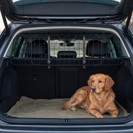 Cheqo® Hondenrek Auto - Hero met hond in kofferbak