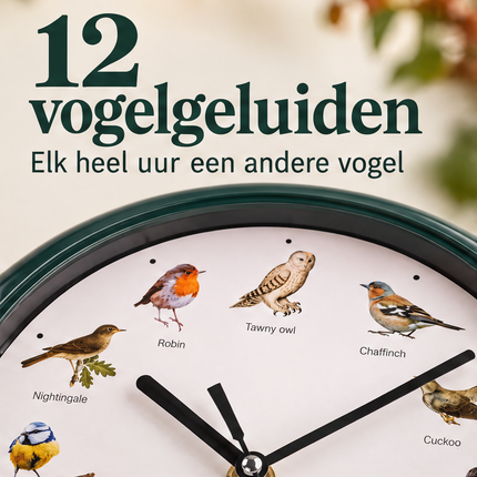 Cheqo® Vogelklok - Wandklok met Vogelgeluiden - Klok met Geluid - Birdsong Clock - Zingende Vogels - Vogelgeluiden Klok - Klok voor Vogelliefhebbers - Dierenklok - Kinderklok - Vogelmelodie Klok - Decoratieve Wandklok - Donkergroen — infographic 2