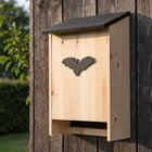 infographic-1-life: Bat house
