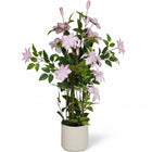 Cheqo® Kunstplant Clematis - Hero