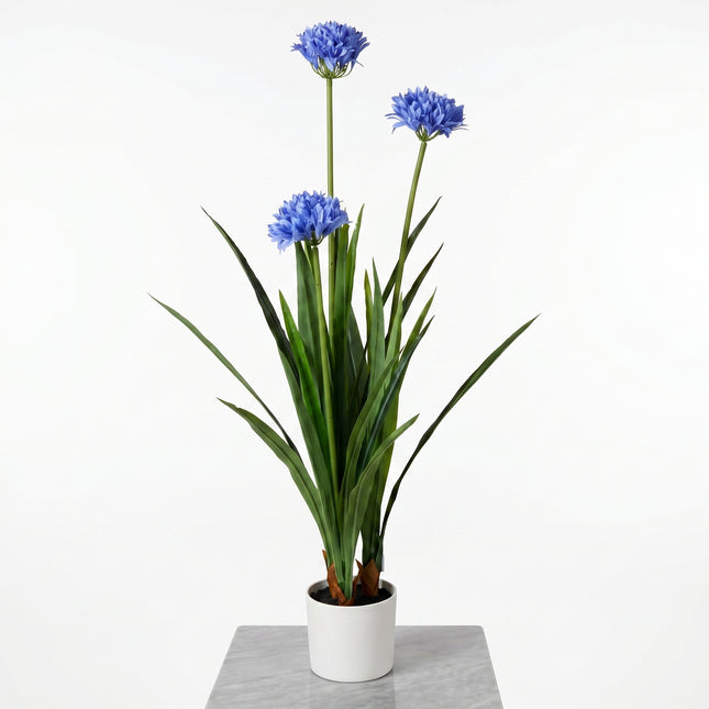 Cheqo® Agapanthus Kunstplant - Hero