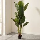 Cheqo® Kunstplant Bananenboom - Hero