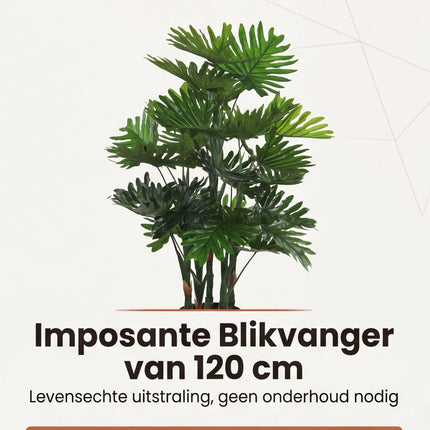 infographic-1