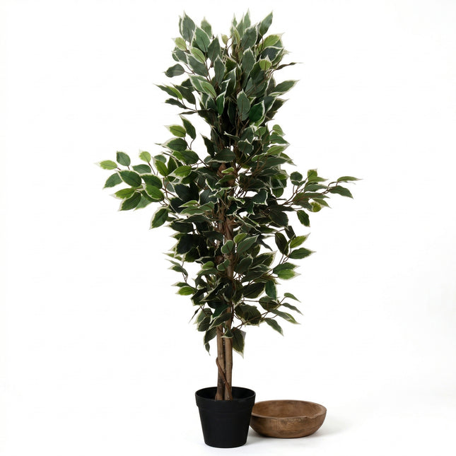 Cheqo® Kunstplant Ficus Benjamina - Hero