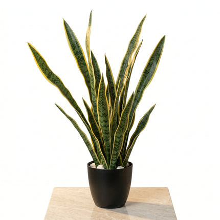 Cheqo Kunstplant Sansevieria - Hero
