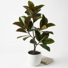Cheqo® Kunstplant Magnolia - Hero