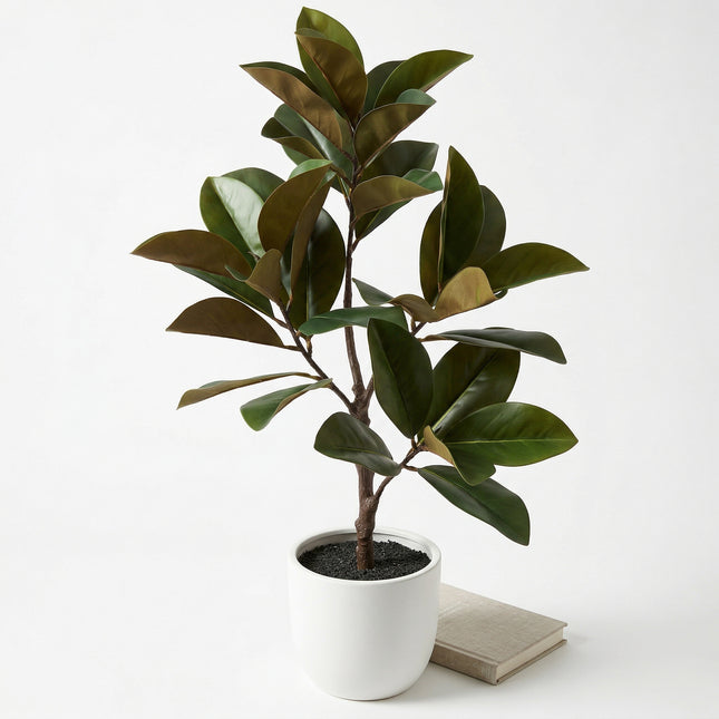 Cheqo® Kunstplant Magnolia - Hero