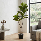 Cheqo® Kunstplant Ficus Lyrata - Hero
