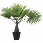 Cheqo® Kunstpalm Waaierpalm - Hero