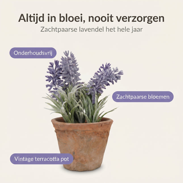Cheqo Kunstplant Lavendel in Pot - Benefit Map