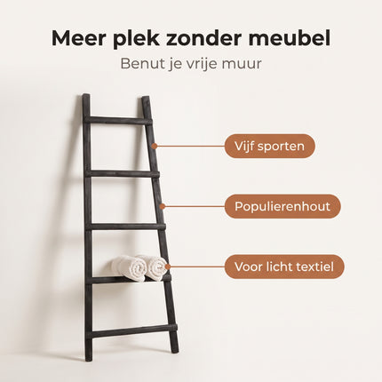 infographic-2: Decoration ladder black l29xw49xh119cm