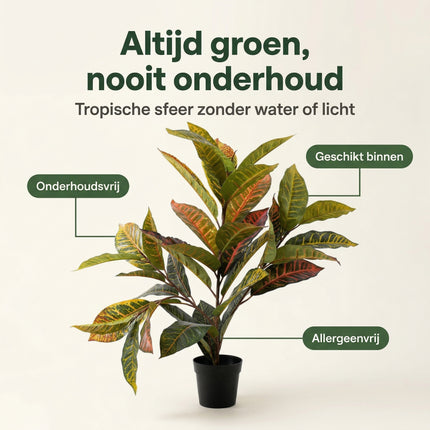 Cheqo Kunstplant Calathea - Benefit Map
