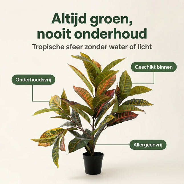 Cheqo Kunstplant Calathea - Benefit Map