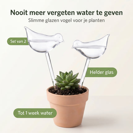 Cheqo® Planten Watergever Glazen Vogel Set van 2 - Benefit Map
