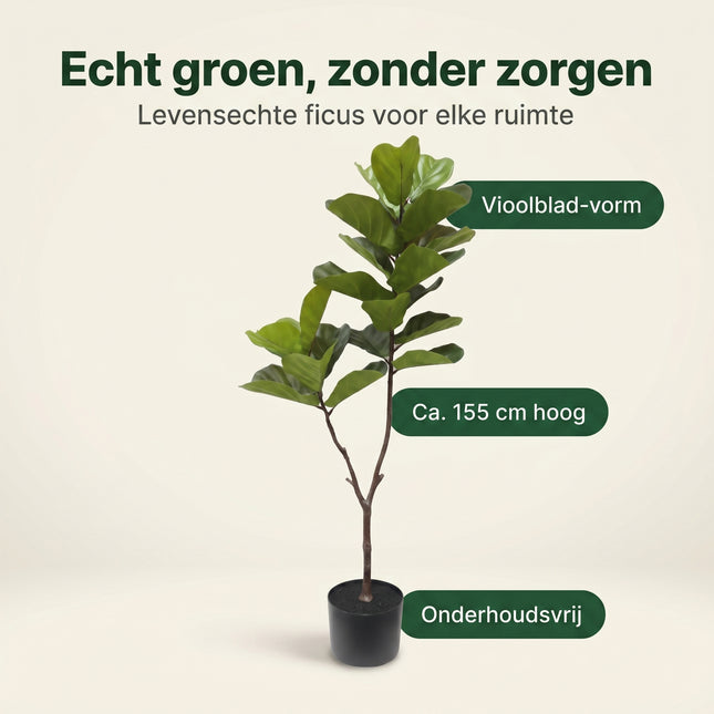 Cheqo® Kunstplant Ficus Lyrata - Benefit Map