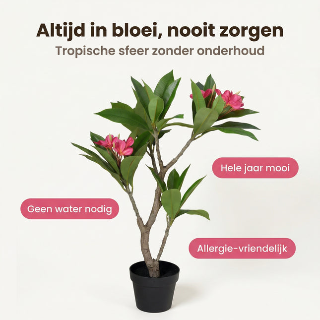 Cheqo® Kunstplant Plumeria Roze 50x90cm - Benefit Map