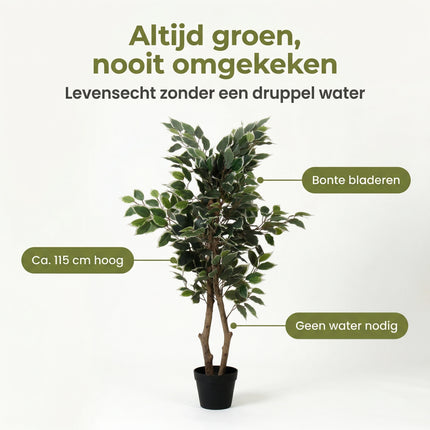 Cheqo® Kunstplant Ficus Benjamina - Benefit Map