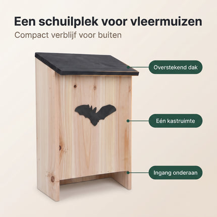 infographic-2: Bat house