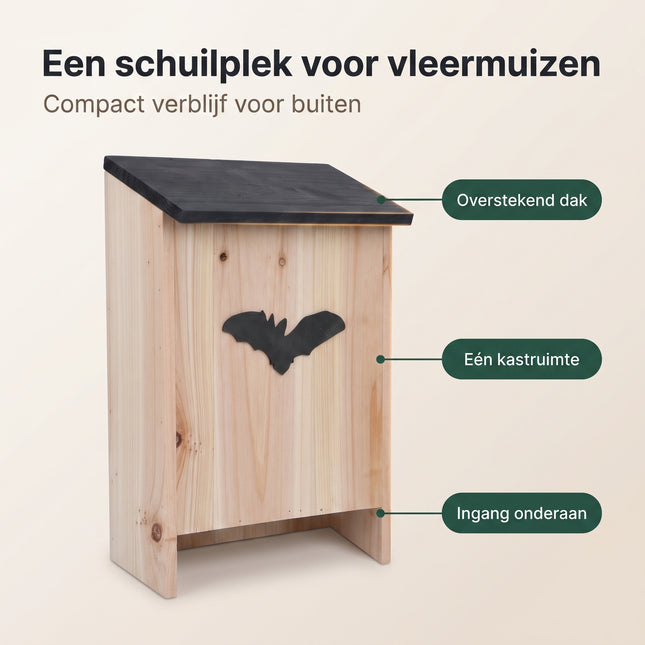 infographic-2: Bat house