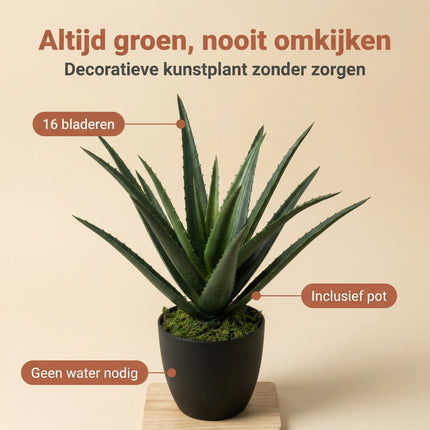 Cheqo® Kunstplant Aloë Vera - Benefit Map