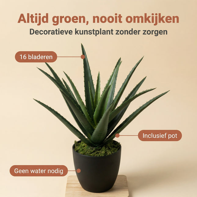 Cheqo® Kunstplant Aloë Vera - Benefit Map