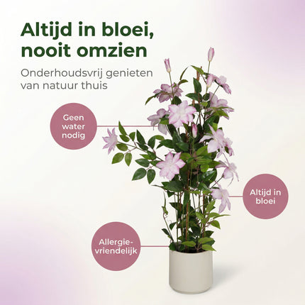Cheqo® Kunstplant Clematis - Benefit Map