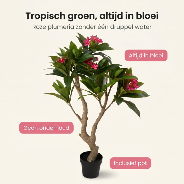 Cheqo® Kunstplant Frangipani - Benefit Map