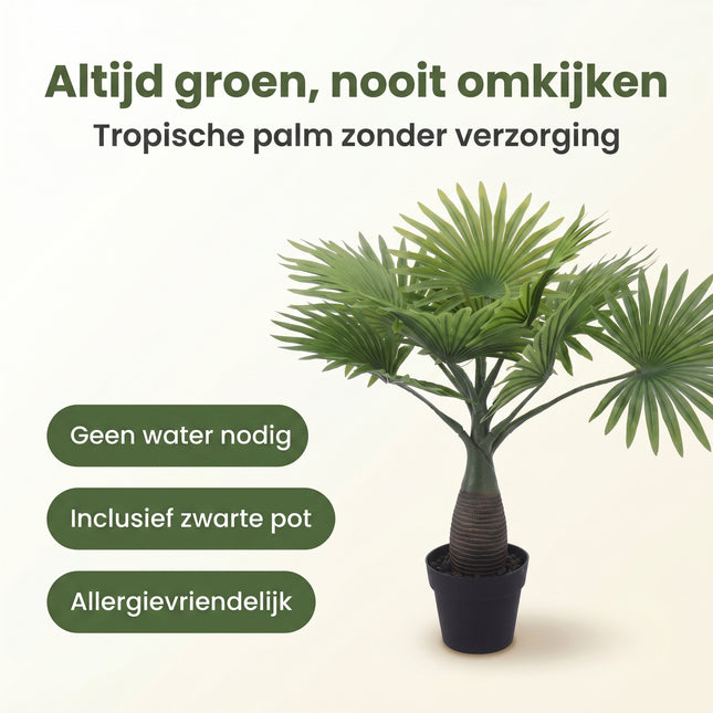 Cheqo® Kunstpalm Waaierpalm - Benefit Map