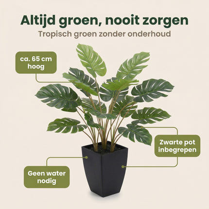 Cheqo® Kunstplant Monstera met Pot - Benefit Map
