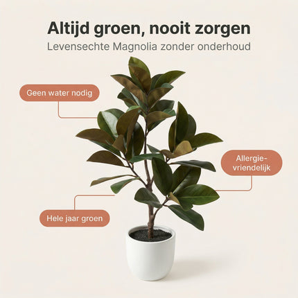Cheqo® Kunstplant Magnolia - Benefit Map